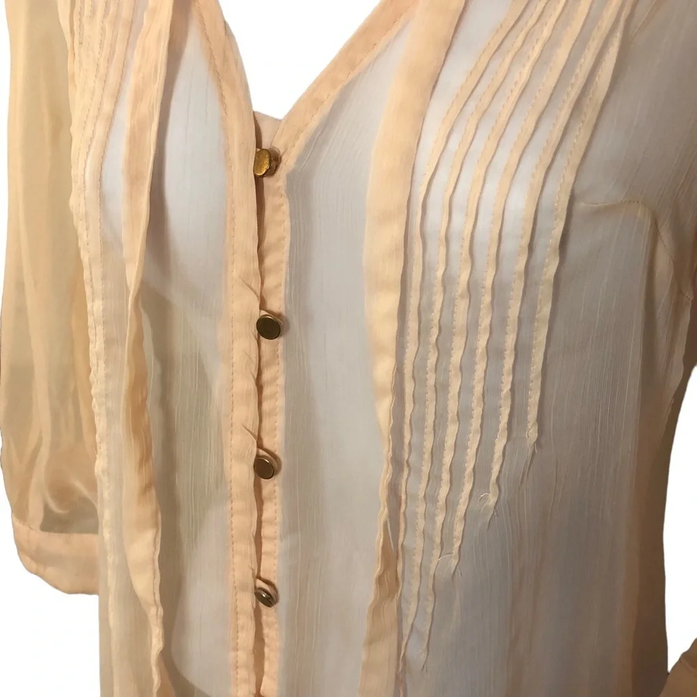 Blush Gauzy Chiffon Sheer Tunic Blouse with Buttons and Pleats - Picture 5 of 16